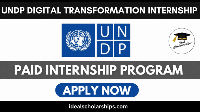 UNDP Digital Transformation Internship 2025