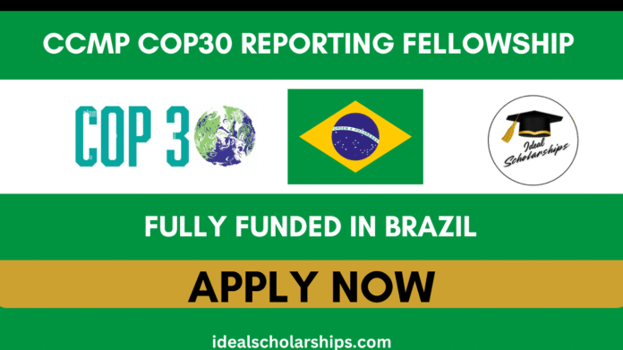 Journalists covering COP30 Climate Conference in Belém, Brazil, 2025