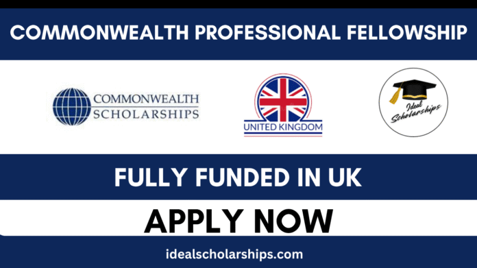 International fellows at a UK training workshop