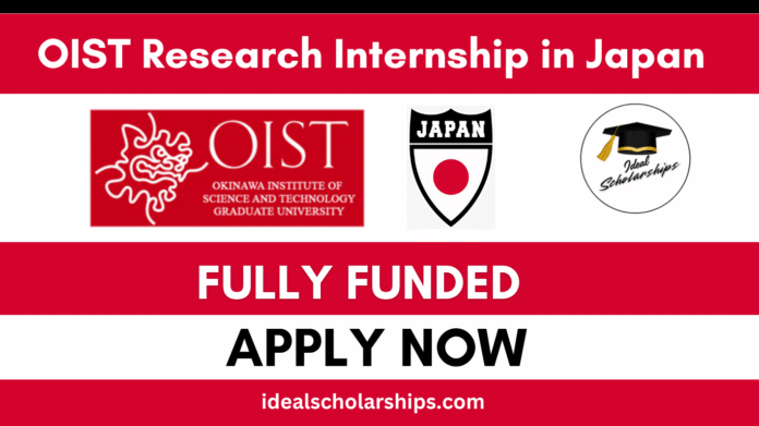International students participating in the OIST Research Internship 2026 in Japan
