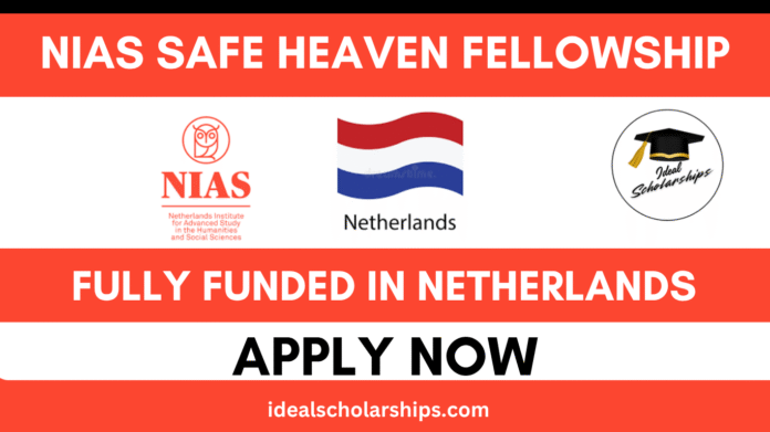 Fellows working in a collaborative space at NIAS Amsterdam