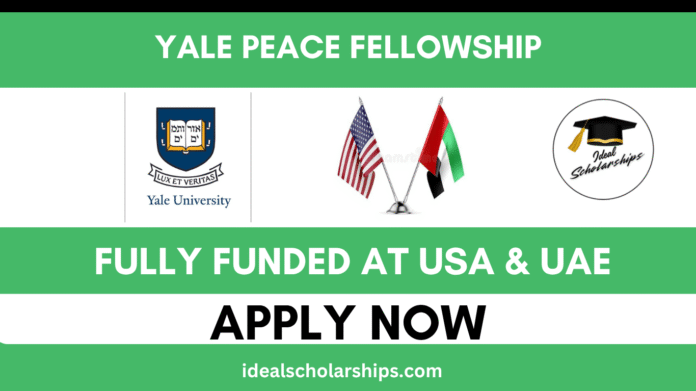 Group of international fellows at Yale University during the Peace Fellowship 2026