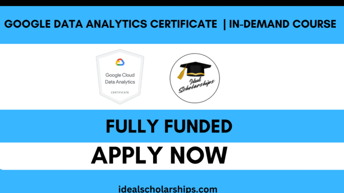 Learner studying data analytics online through the Google Professional Certificate on Coursera