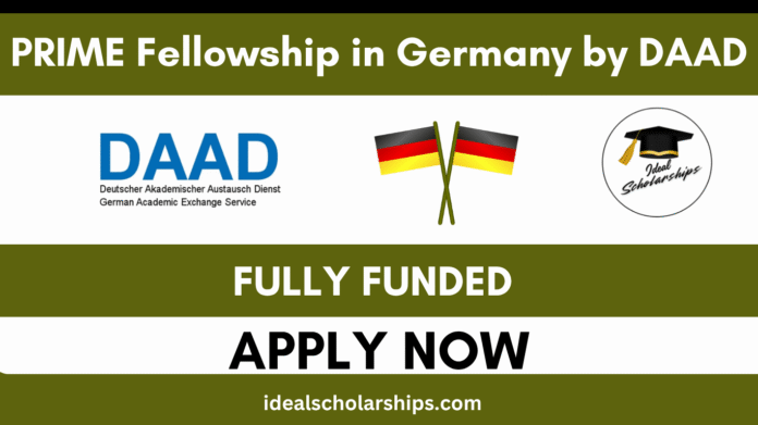 Postdoctoral researchers collaborating at a university in Germany under the DAAD PRIME Fellowship 2025 program