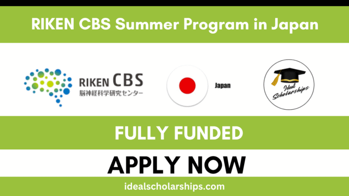 Students conducting neuroscience research at RIKEN CBS Summer Program 2026 in Tokyo, Japan