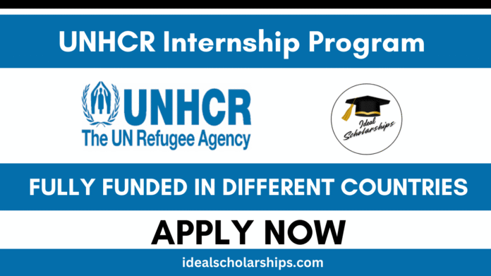 Interns working at a UNHCR office as part of the fully funded UNHCR Internship Program 2026.