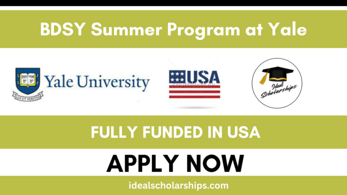 BDSY Summer Program 2026 Yale University students collaborating on big data projects