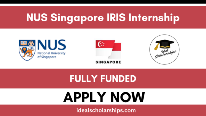 Students conducting research at National University of Singapore laboratories during IRIS Internship