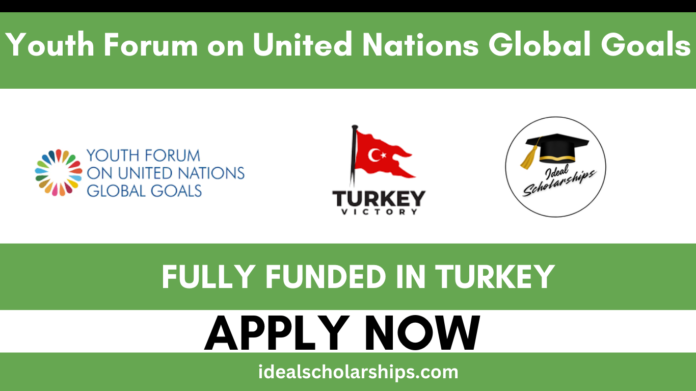 Young delegates participating in the Youth Forum on United Nations Global Goals 2026 in Istanbul, Turkey.