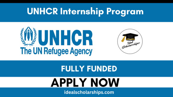 UNHCR interns working together in an office environment supporting refugee and humanitarian programs.